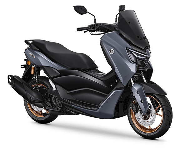 Ceramic Grey (All Type)